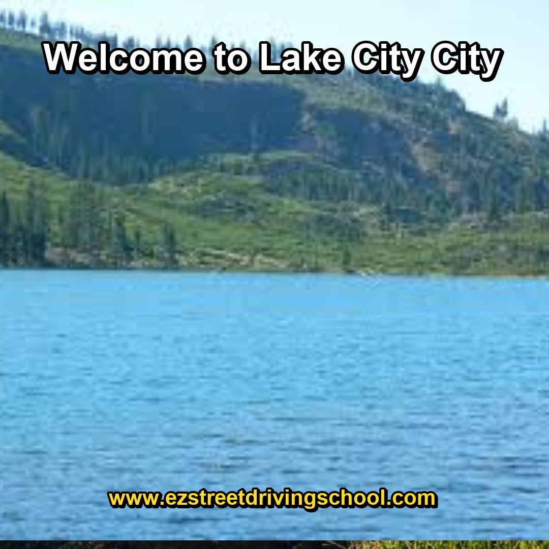 Driving Lessons in Lake City